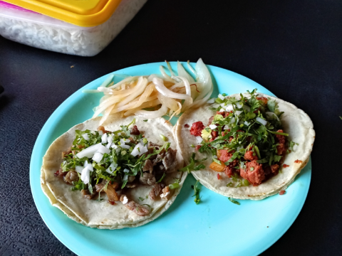 Tacos Hamburguesas Familia SM