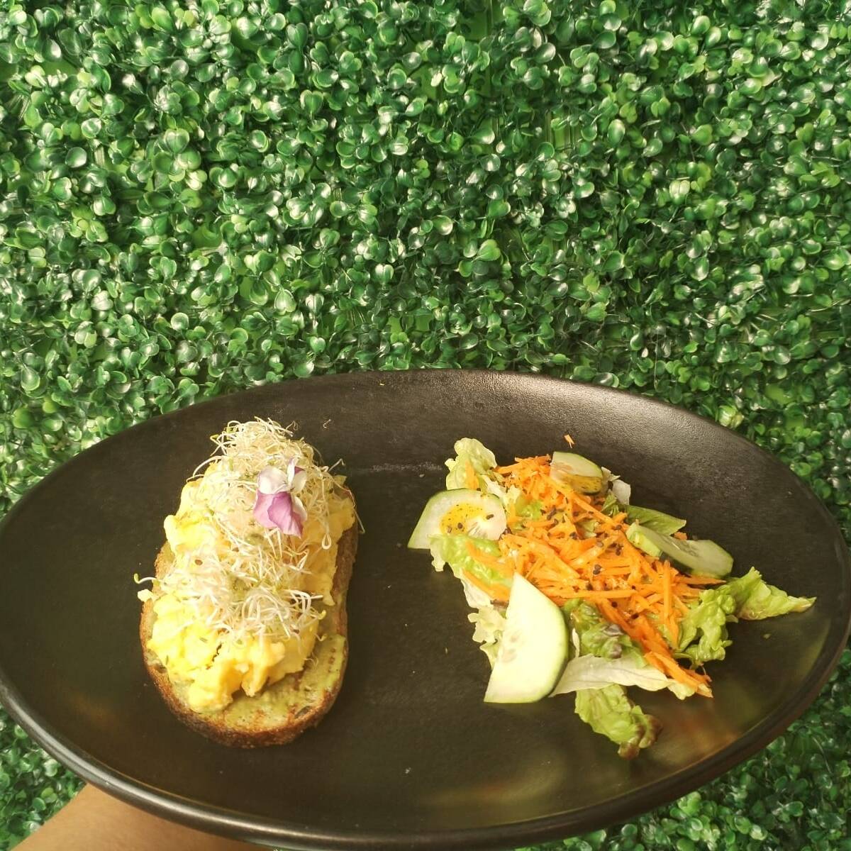 Avo Toast de Buebito y Jamon