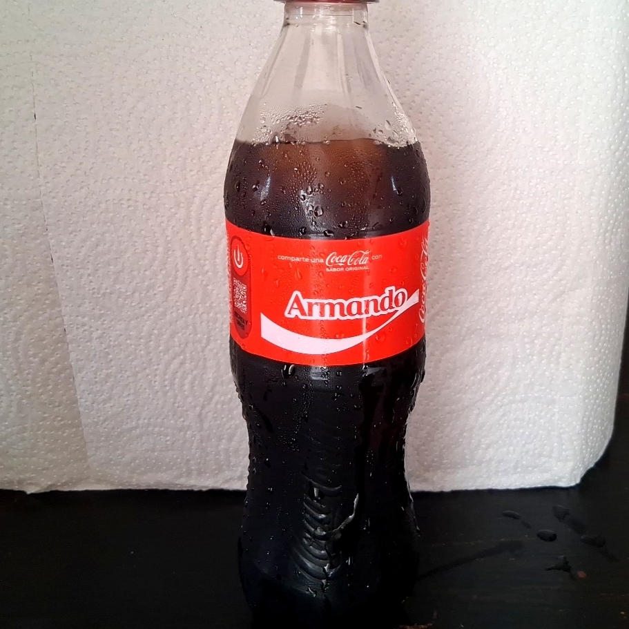 Refresco Coca Cola 600