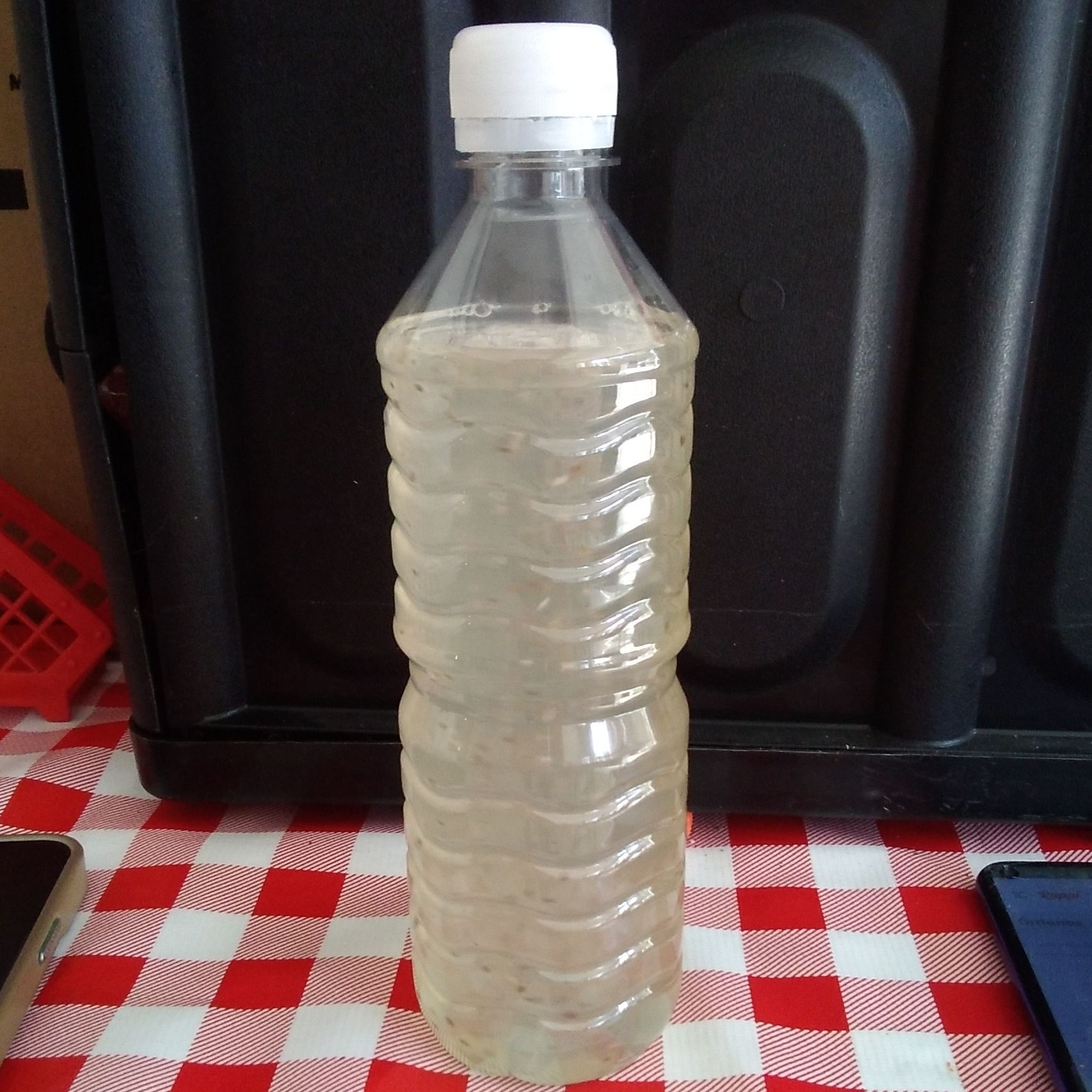 Agua de Limón con Chia.