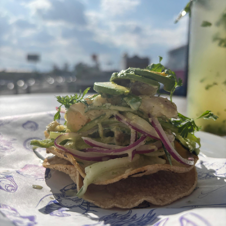 TIRITAS DE PESCADO