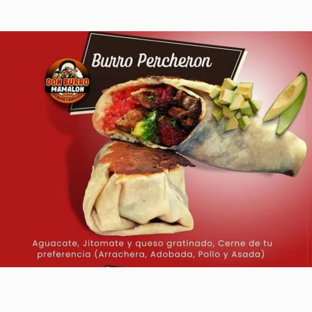 Burro Percheron Mediano