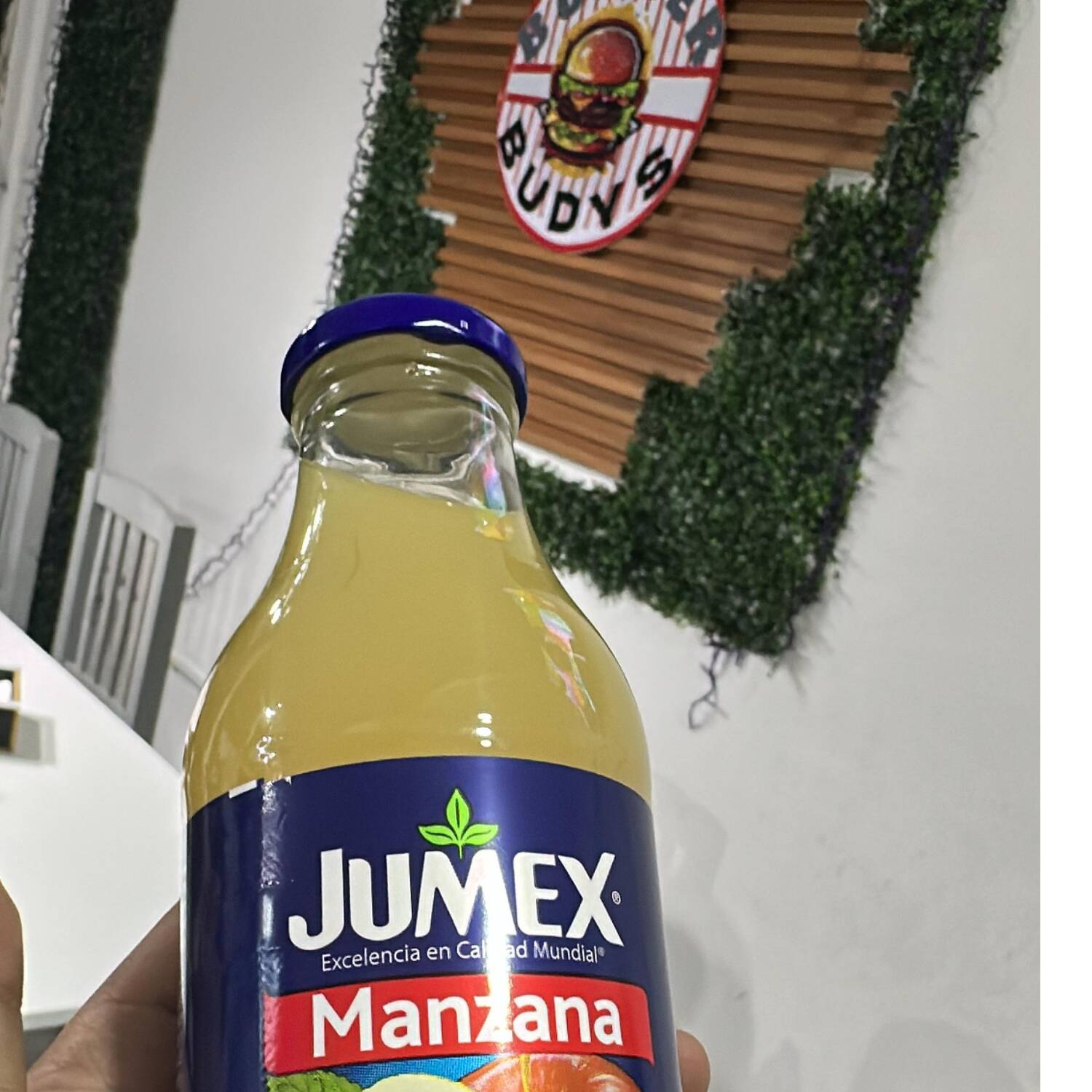 JUMEX 413ML