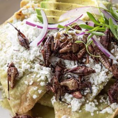 Los Oaxaqueños 🌶️🌶️