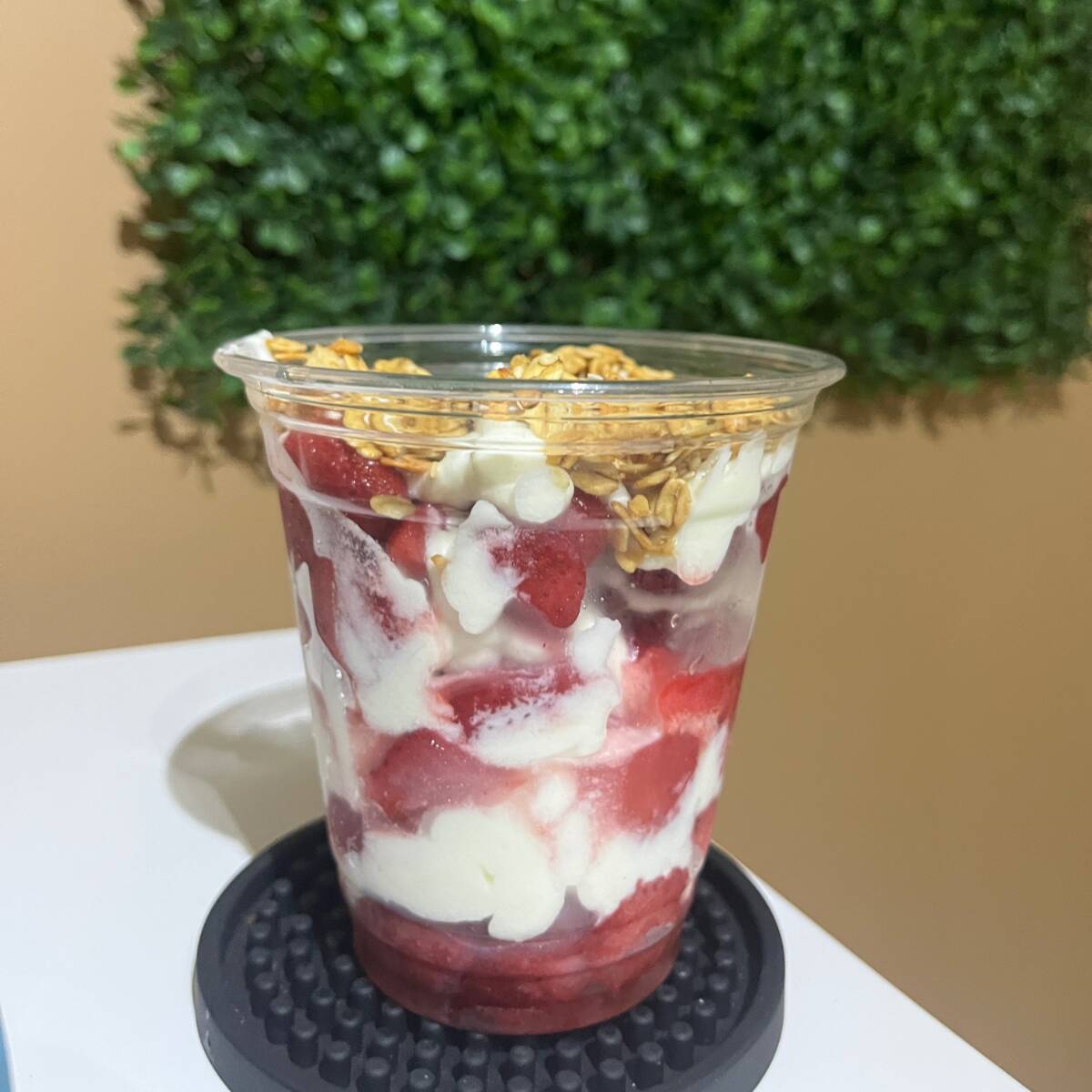 Fresas con Crema 12 Oz