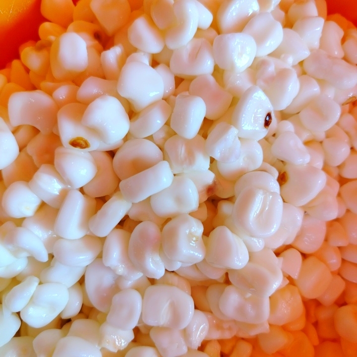 Maíz pozolero grande