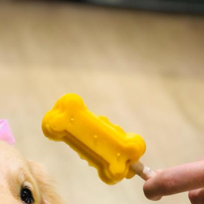 Sem leite nem açúcar, especialmente pro seu pet!