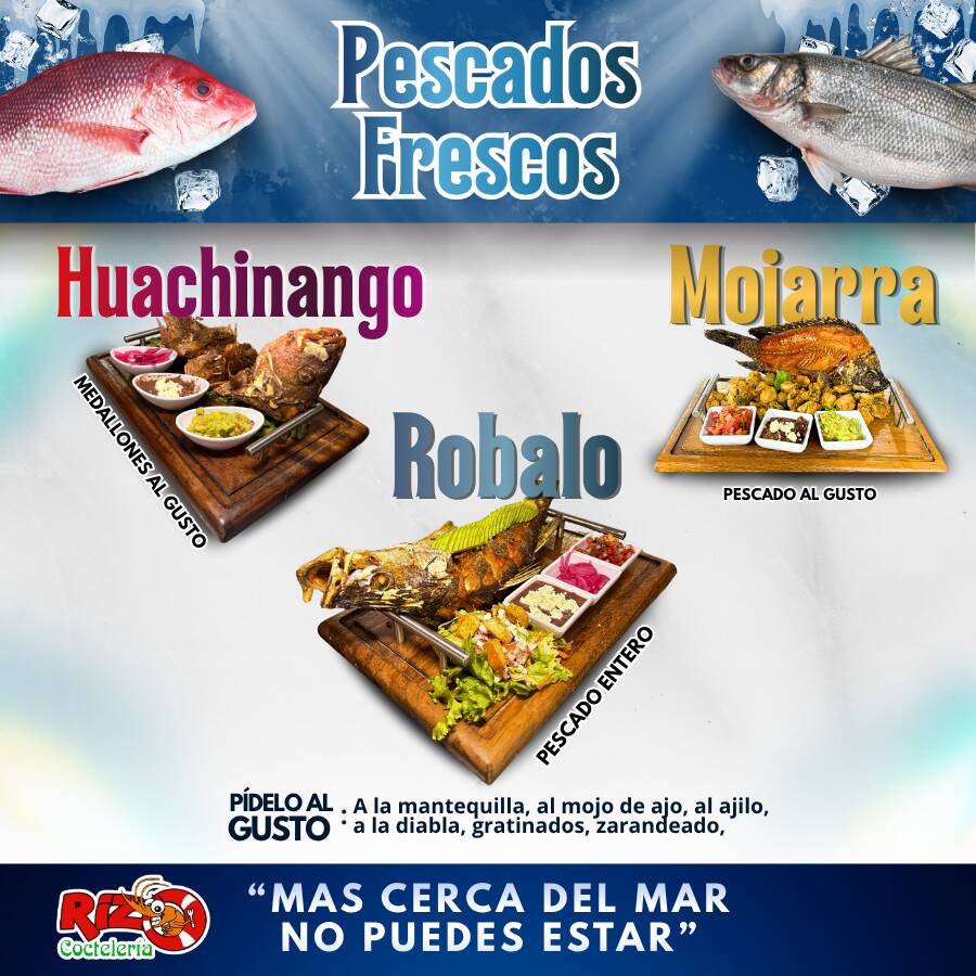 Róbalo mediano al Mojo de Ajo