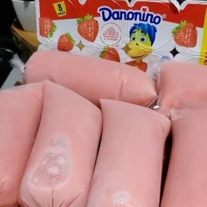 Congelada Gourmet de Danonino