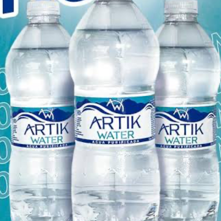 Botella de Agua Blanquita Artic Water 500ml
