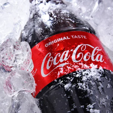 Coca Cola 600 ml