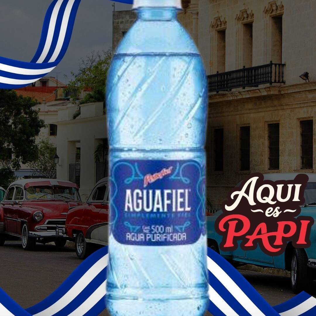Agua purificada 500ml