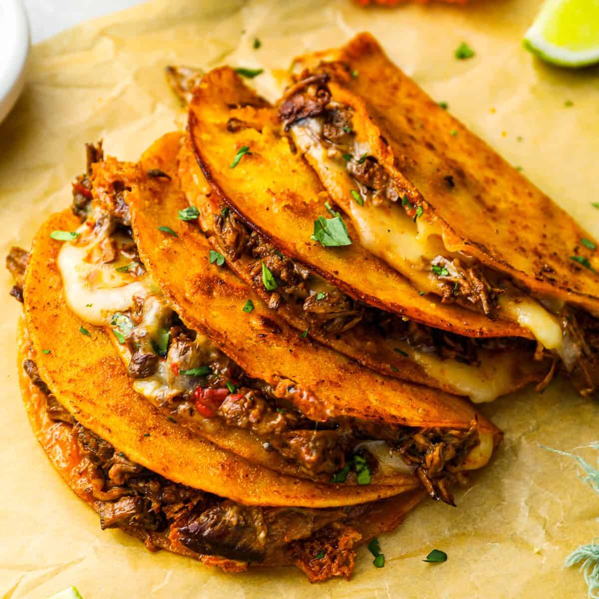 Quesabirria tamaño chico