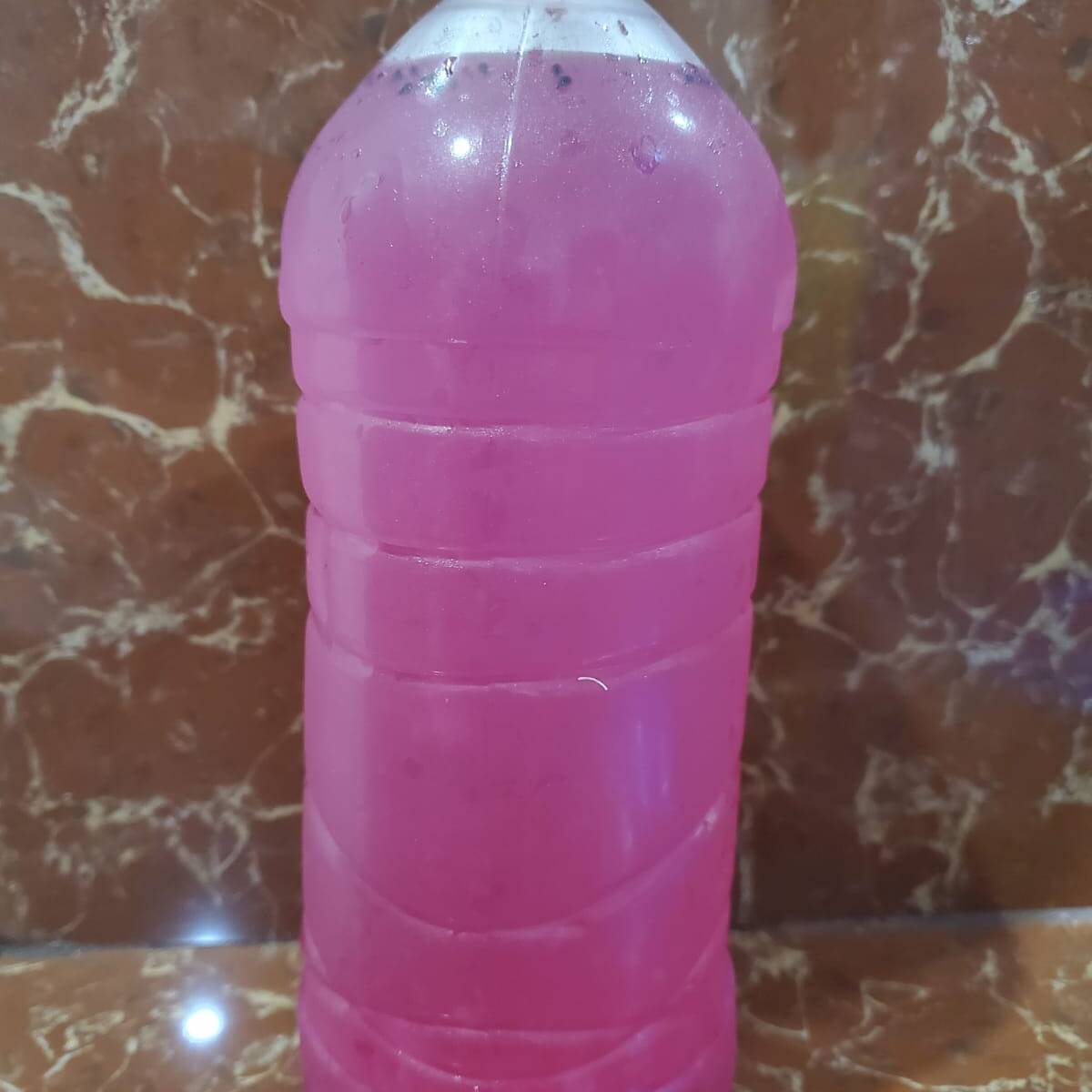 Pitahaya 1L