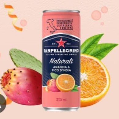 SANPELLEGRINO ARANCIA & FICO D'INDIA
