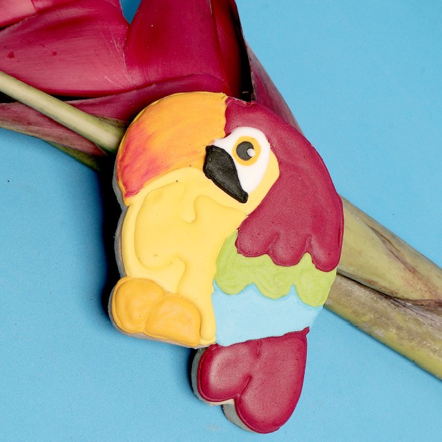Galleta de guacamaya