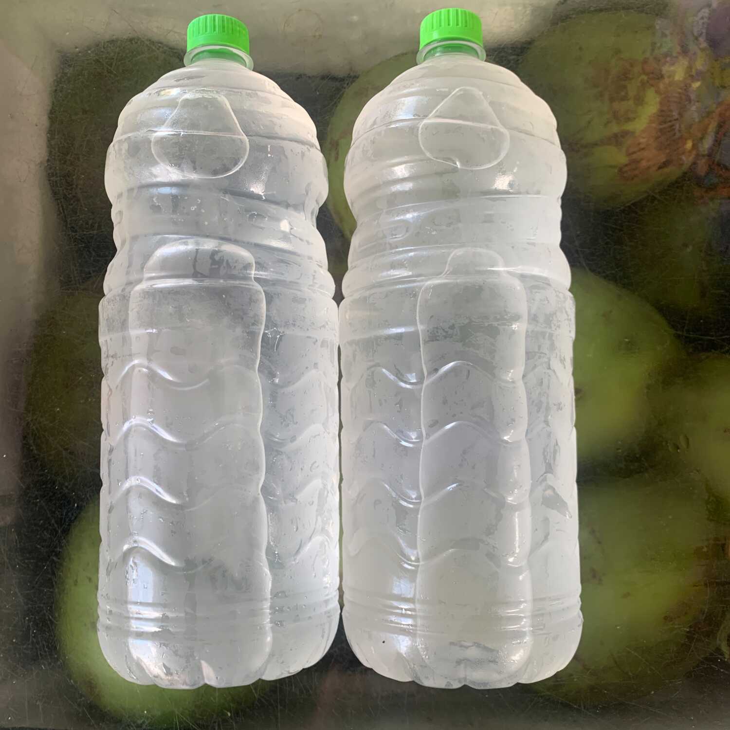 2 garrafas de água de coco 100% natural