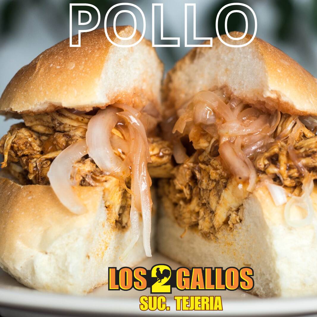 Pollo