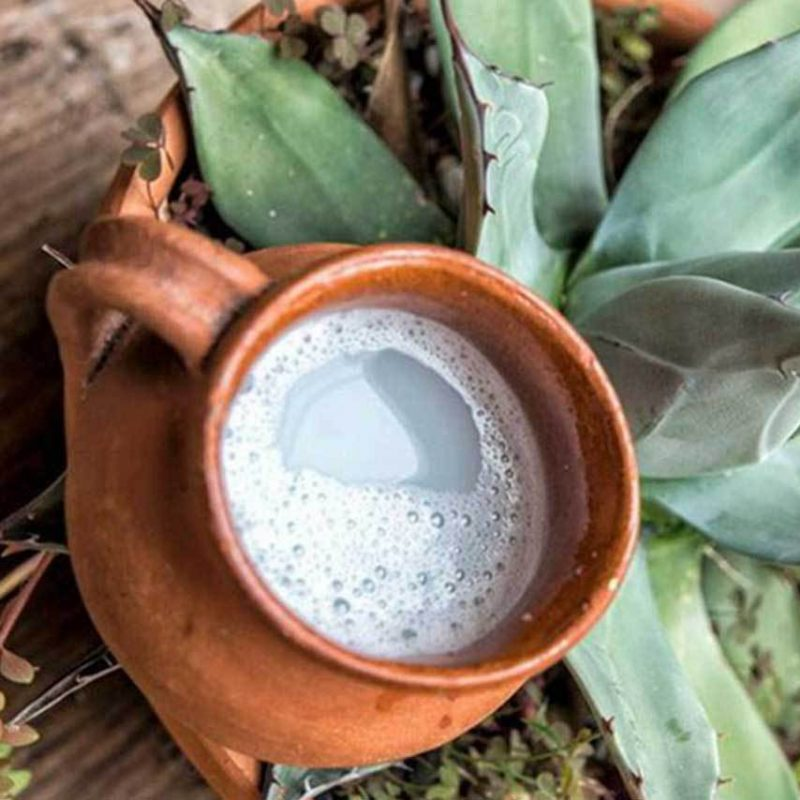 Pulque Fuerte 1L