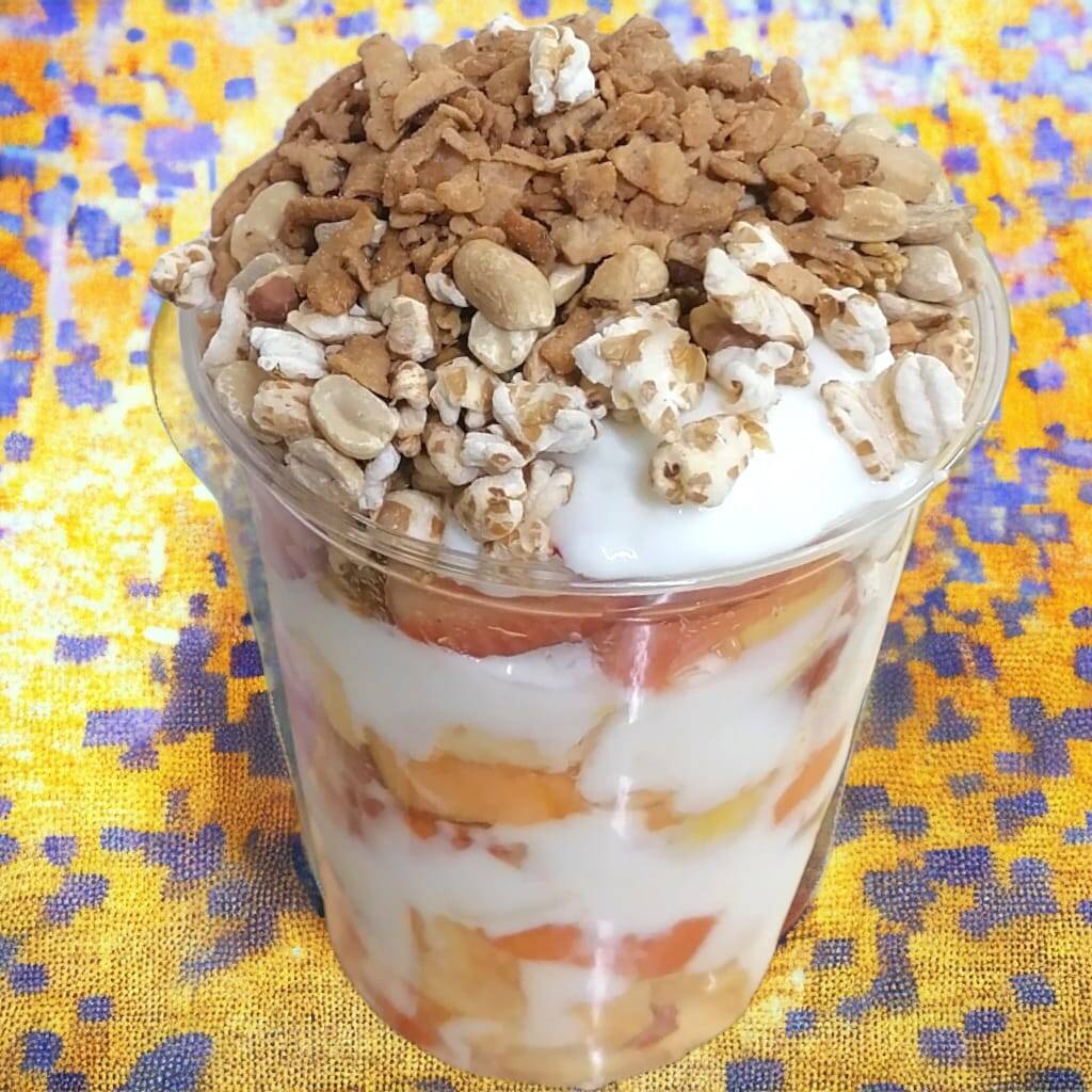 Biónico Grande Yogurt GDL