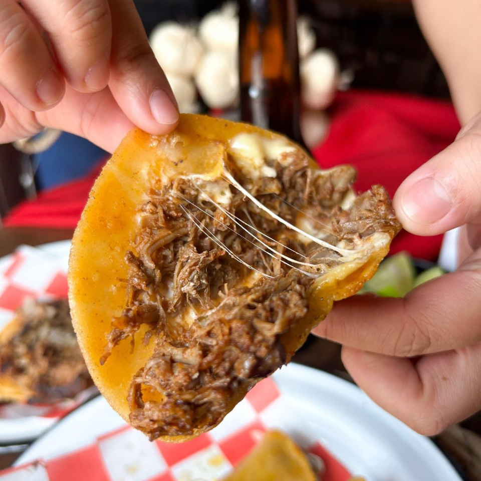 Orden de Quesabirrias