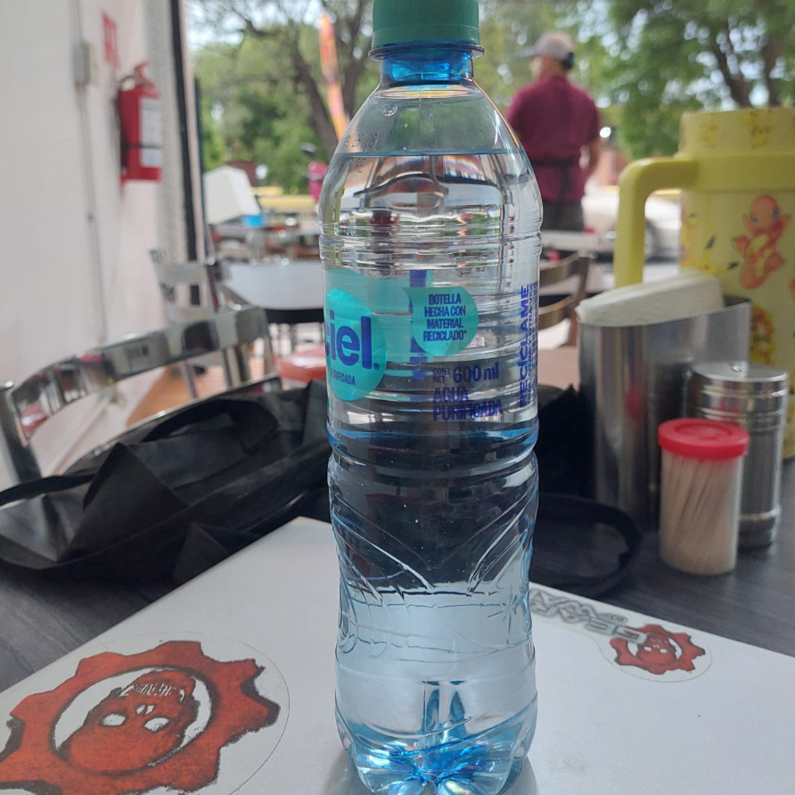Agua Natural Ciel 600 Ml