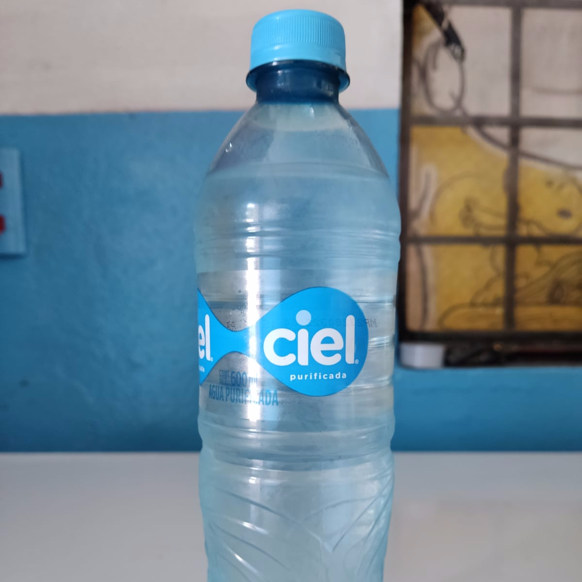 Agua Natural 600 ml