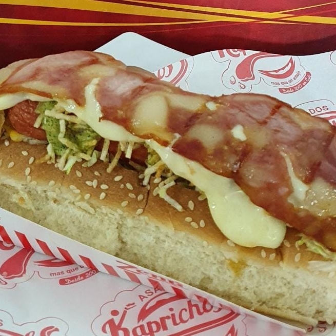 Perro Americano