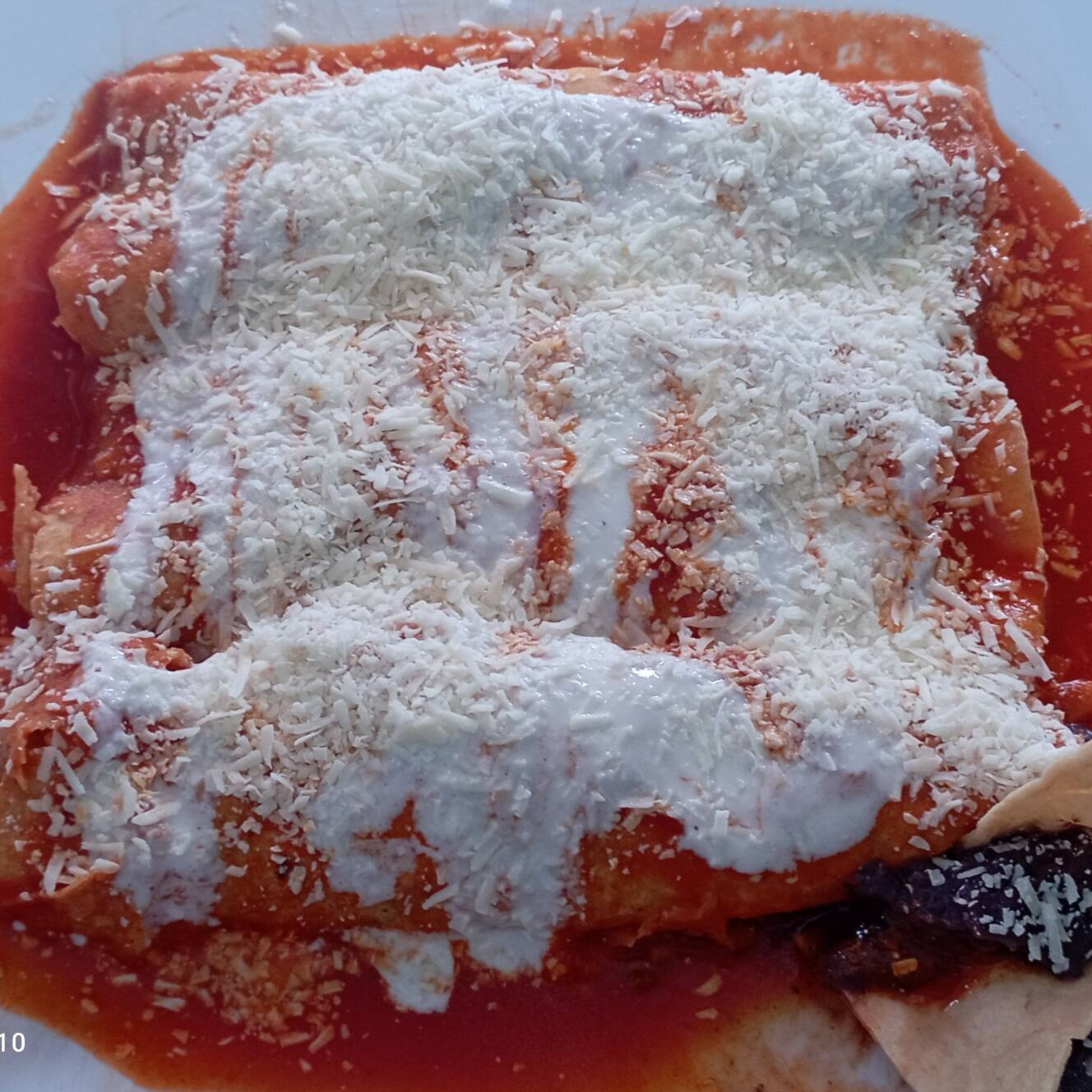 ENCHILADAS POTOSINAS * ESPECIALES