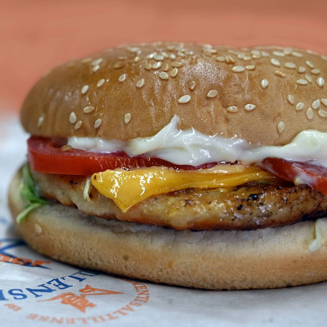 Hamburguesa de Pollo