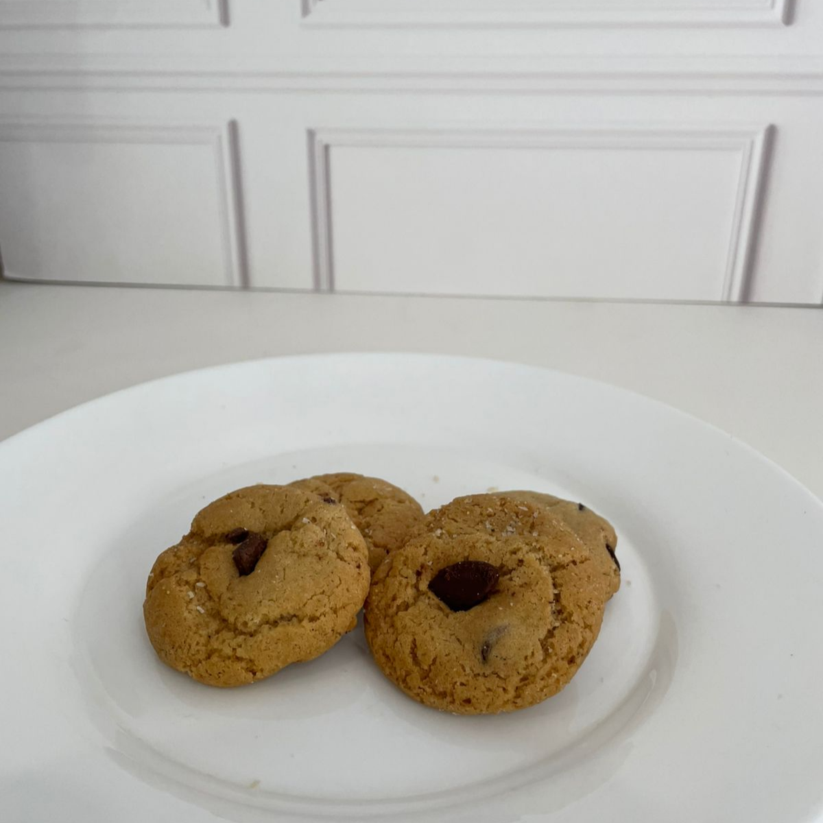 Mini Galleta Choco Chip