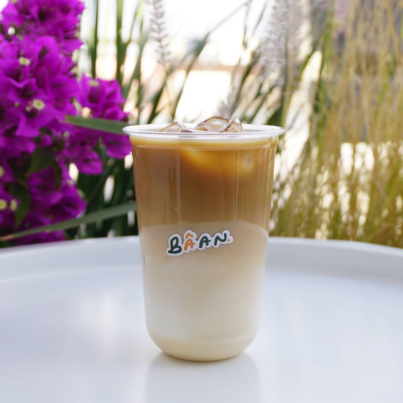 Cold Brew | Spanish Latte