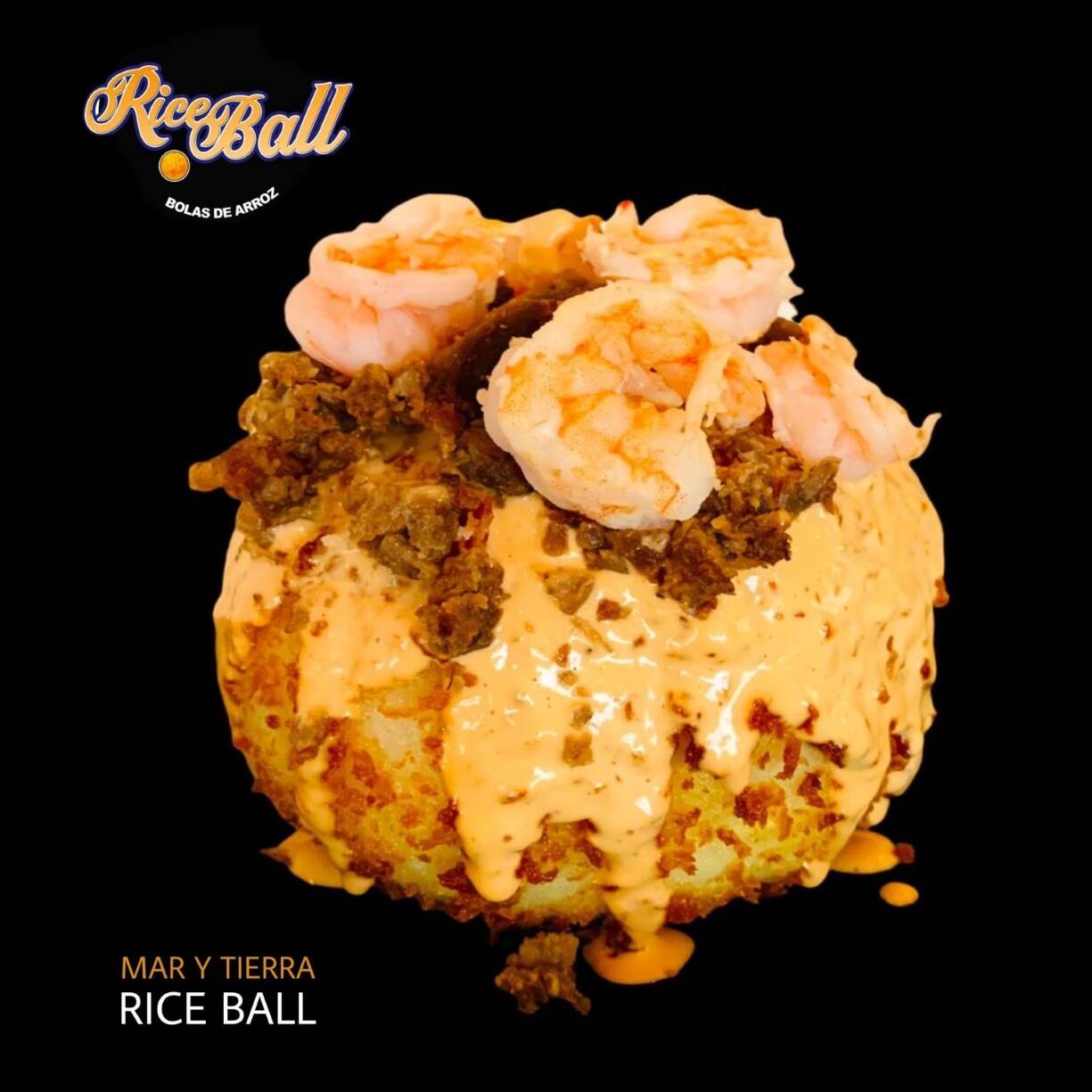 Mar y Tierra Rice Ball