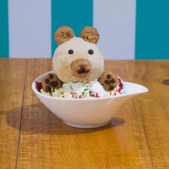 Oso