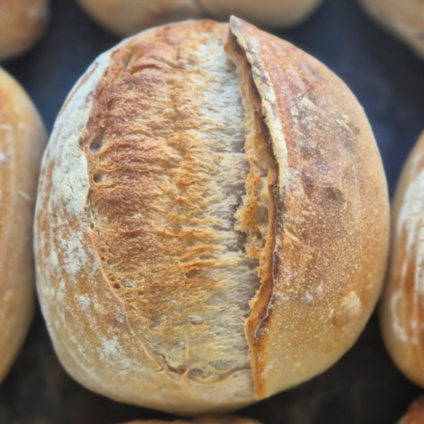 Água, farinha e sal