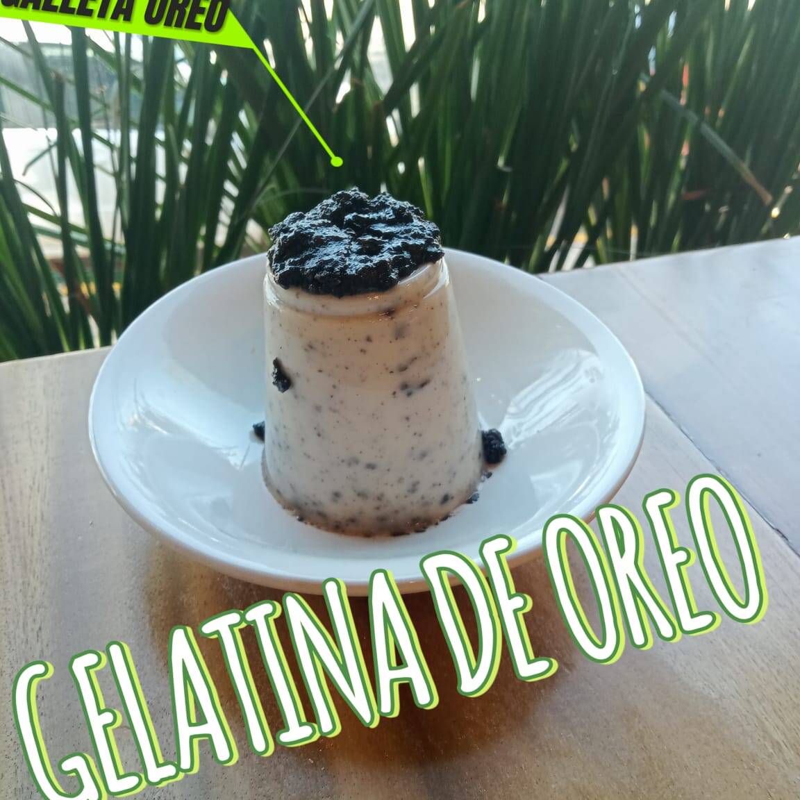 Gelatina Oreo