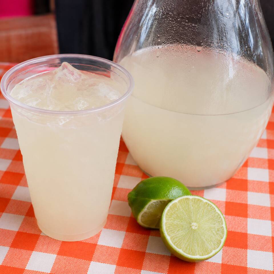 Agua de Sabor 500 ml