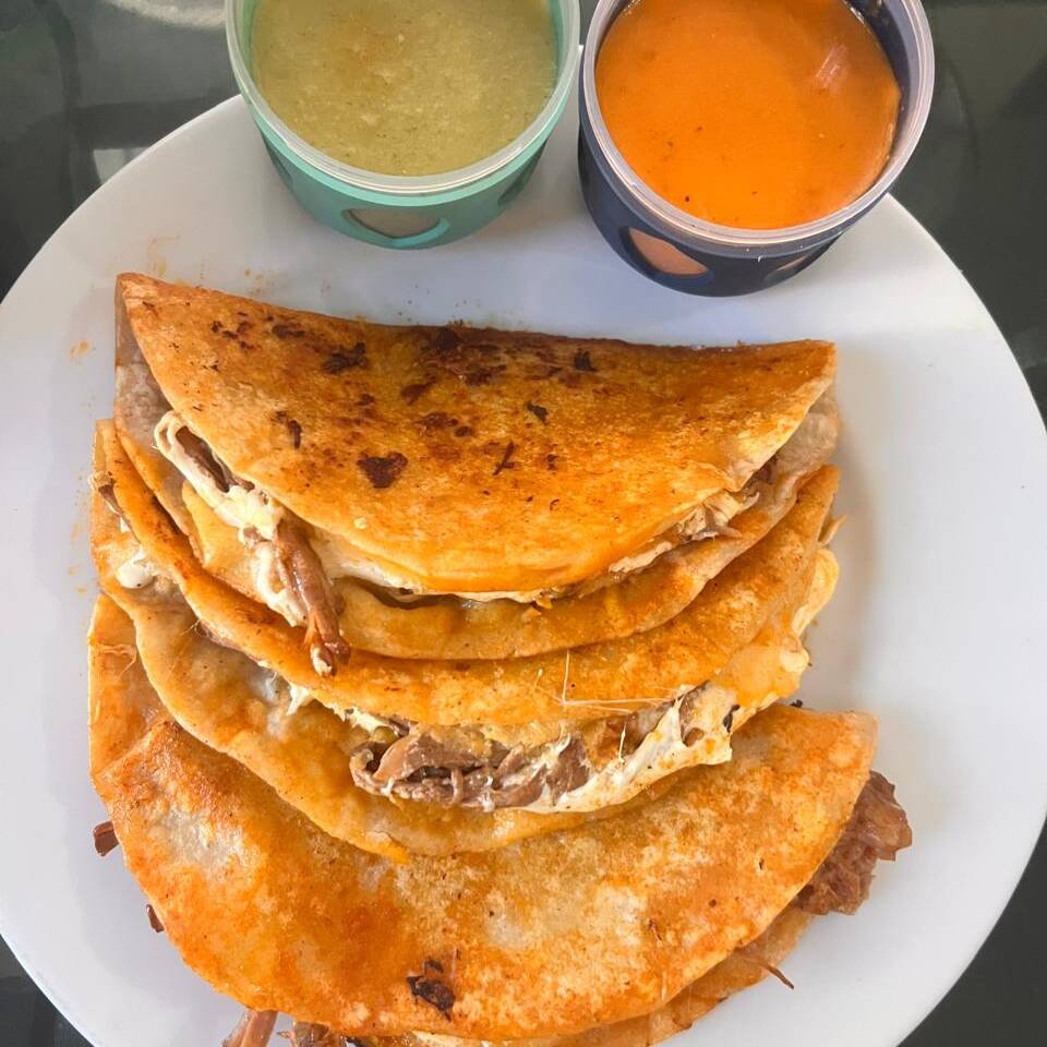 Gringas de Birrias