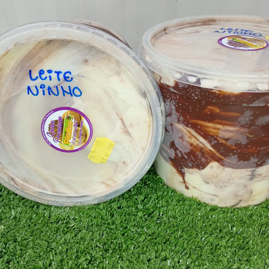 Sorvete Leite Ninho 1,5L