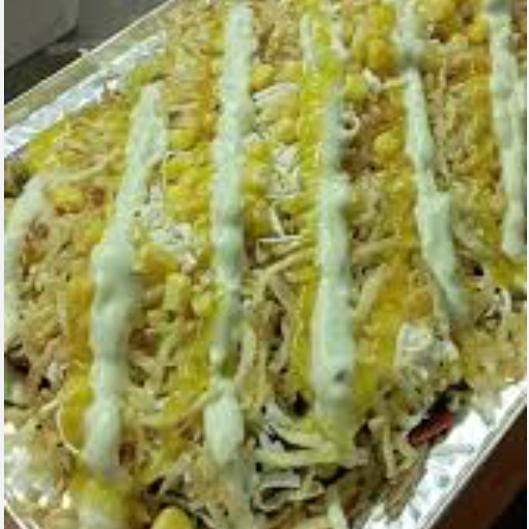 SalchiPOLLO