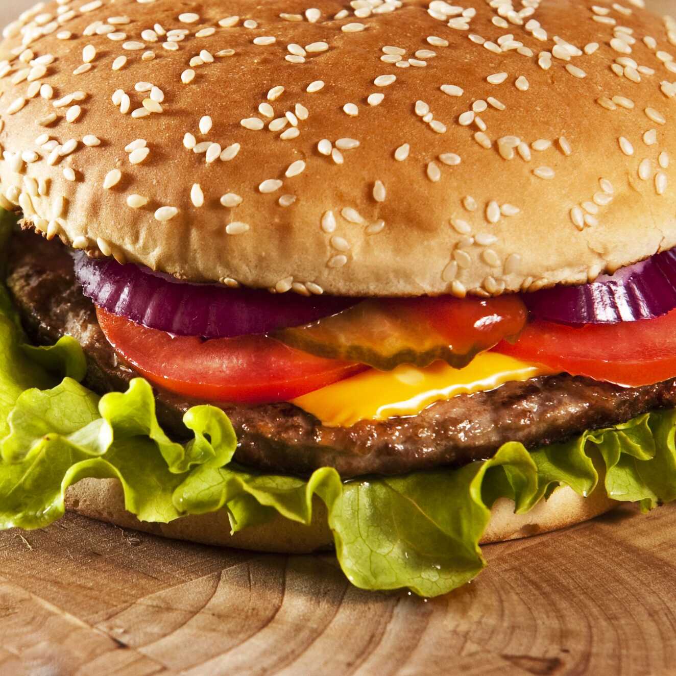 HAMBURGUESA SENCILLA