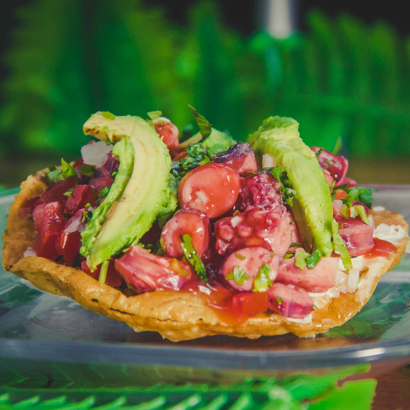 Tostada de Ceviche de Pulpo