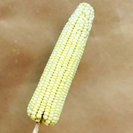 ELOTE SENCILLO