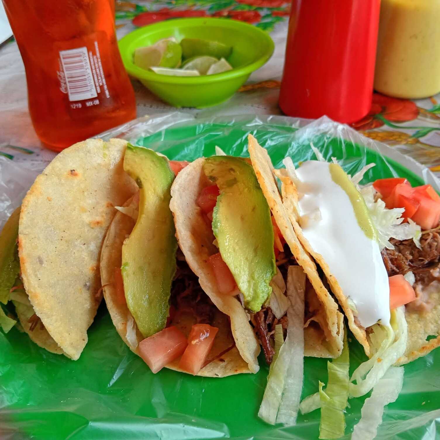 TACO DE MAIZ DE DESEBRADA