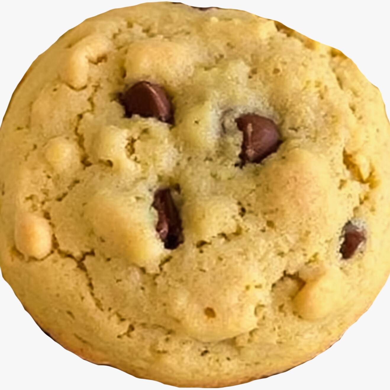 Galleta Gourmet de Chips de Chocolate