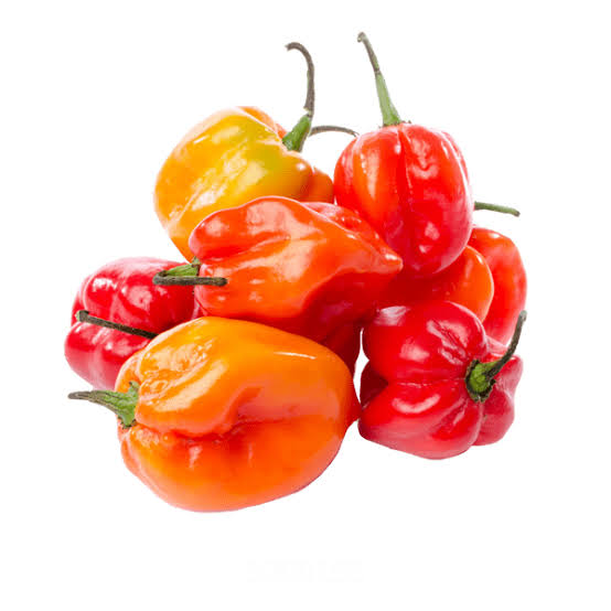 Chile Habanero