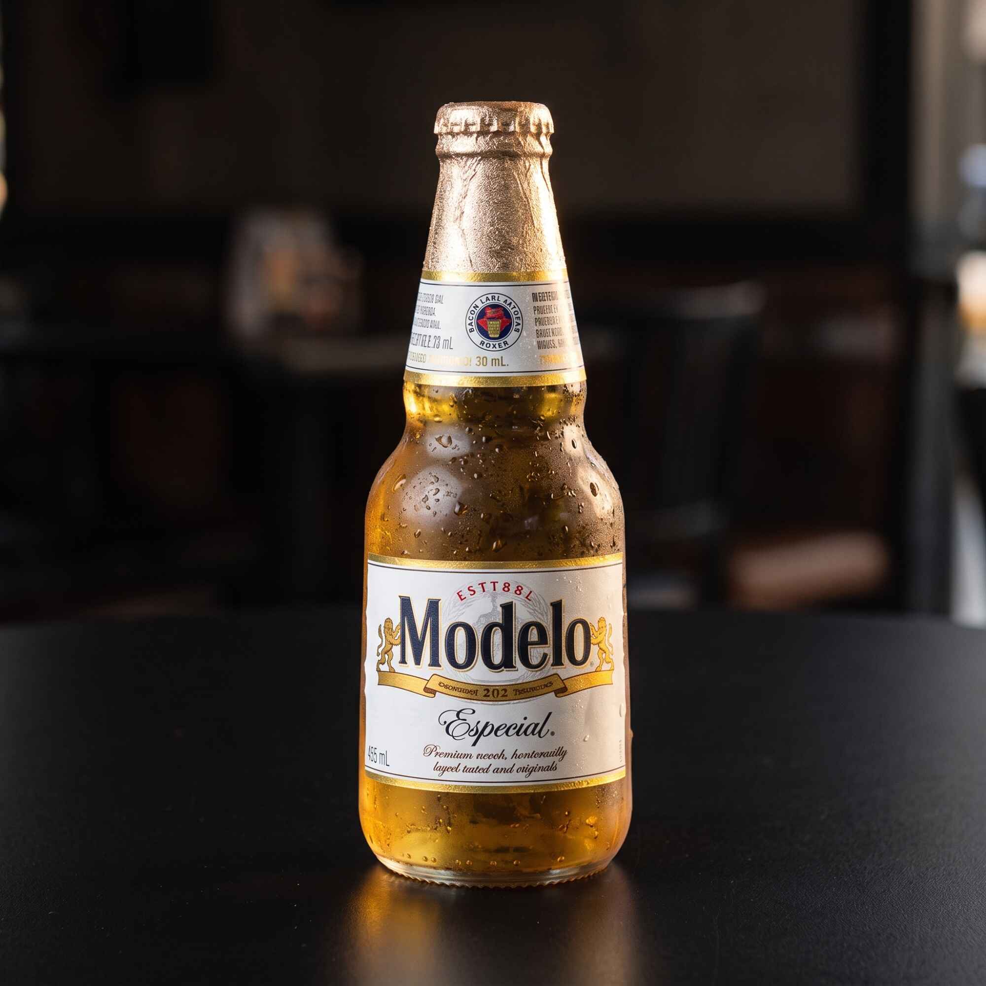 Modelo Especial