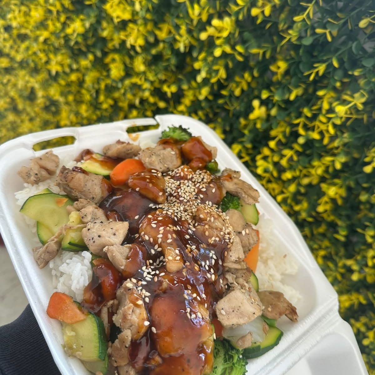 Teriyaki de Pollo 1 X