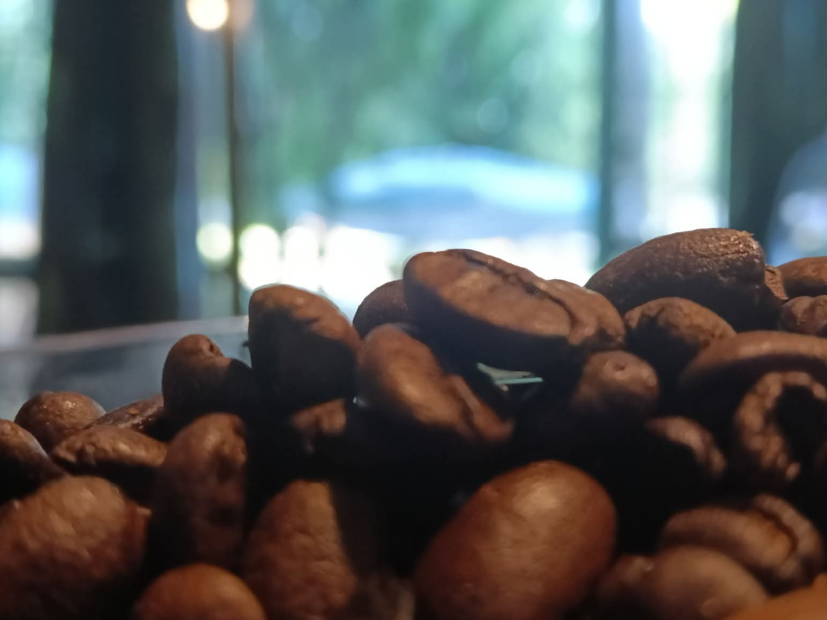 Bocanegra Café