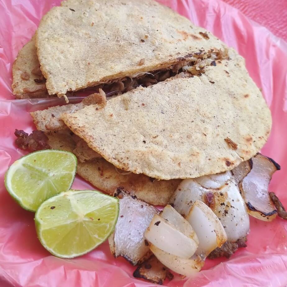 Gringa Campechana